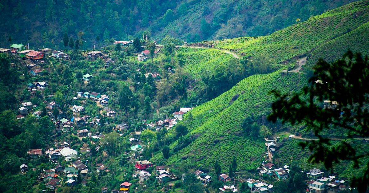 Exploring the Hidden Gems of Kurseong - A Comprehensive Travel Guide